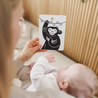 Kontrastní kartičky se zvířátky